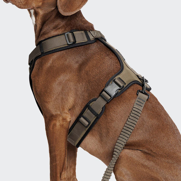 L-2 Jogging-Leine Aktiv Olive