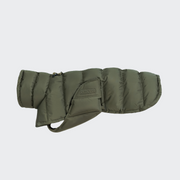 Hundemantel Everest Light Olive 2025