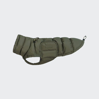 Dackelmantel Winter Alaska Light Olive 2025