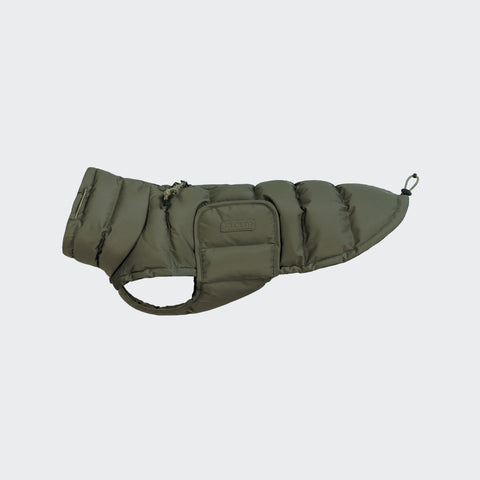 Dackelmantel Winter Alaska Light Olive 2025