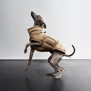 Hundemantel Winter Alaska Sandy Brown 2025