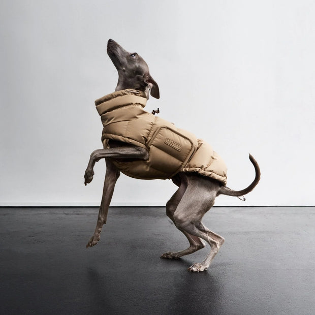 Hundemantel Winter Alaska Sandy Brown 2025