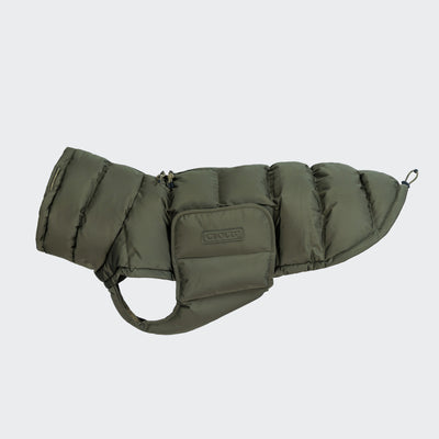 Hundemantel Winter Alaska Light Olive 2025