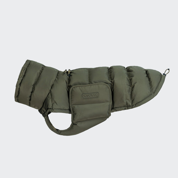 Hundemantel Winter Alaska Light Olive 2025