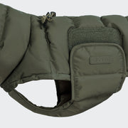 Dackelmantel Winter Alaska Light Olive 2025