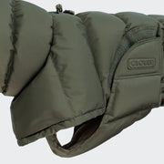 Hundemantel Everest Light Olive 2025