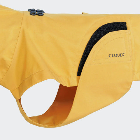 Hunderegenmantel Dackel Dublin 2.0 Yellow
