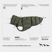 Dackelmantel Winter Alaska Light Olive 2025
