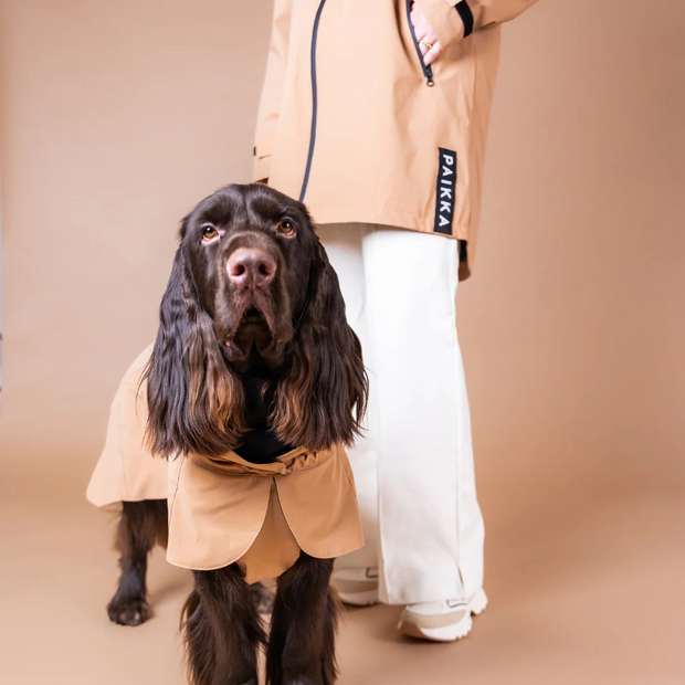 Allwetterjacke Lite Taupe