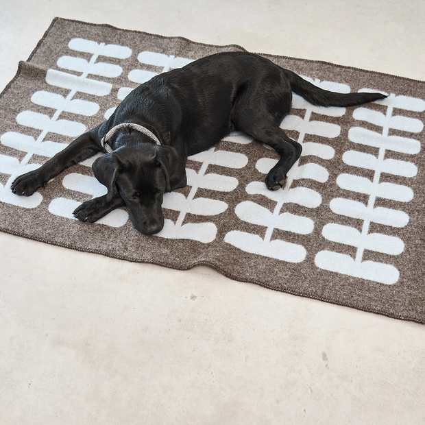 Flora - Wolldecke Schokolade – Light Sky