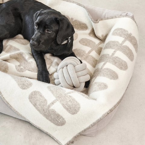 Flora - Wolldecke Cappuccino – Natur