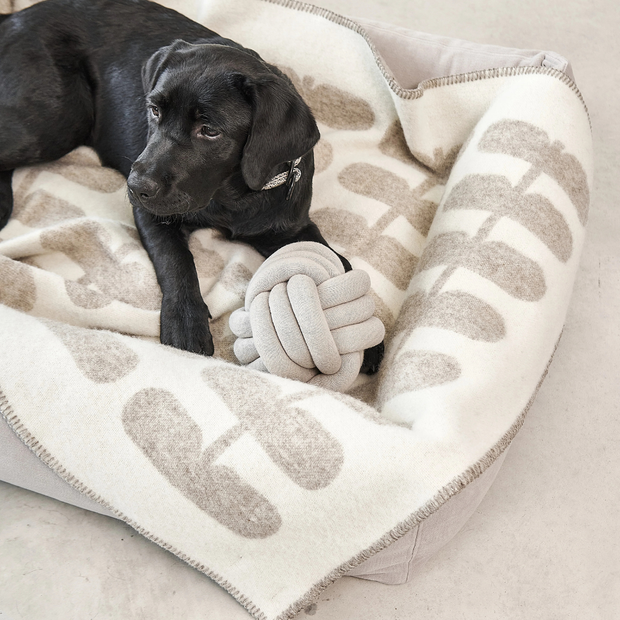 Flora - Wolldecke Cappuccino – Natur