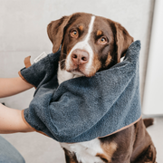 Hundehandtuch aus Bio-Baumwolle