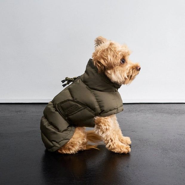 Hundemantel Everest Light Olive 2025
