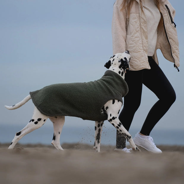 Hundepullover Teddy moosgrün