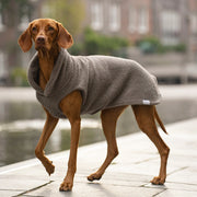 Hundepullover Teddy taupe