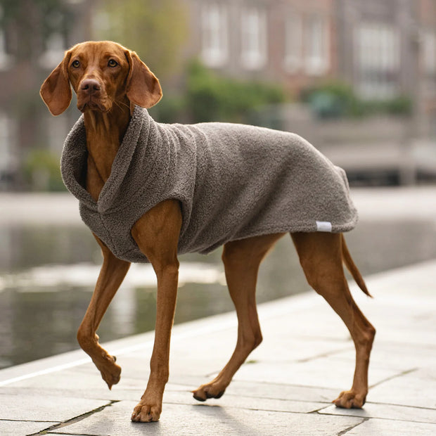 Hundepullover Teddy taupe