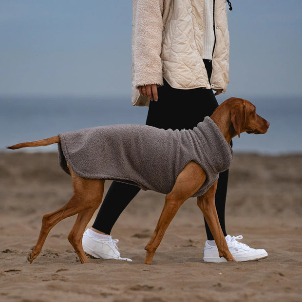 Hundepullover Teddy taupe