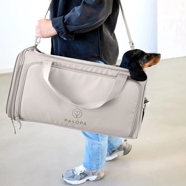 Hundetasche Benno Taupe