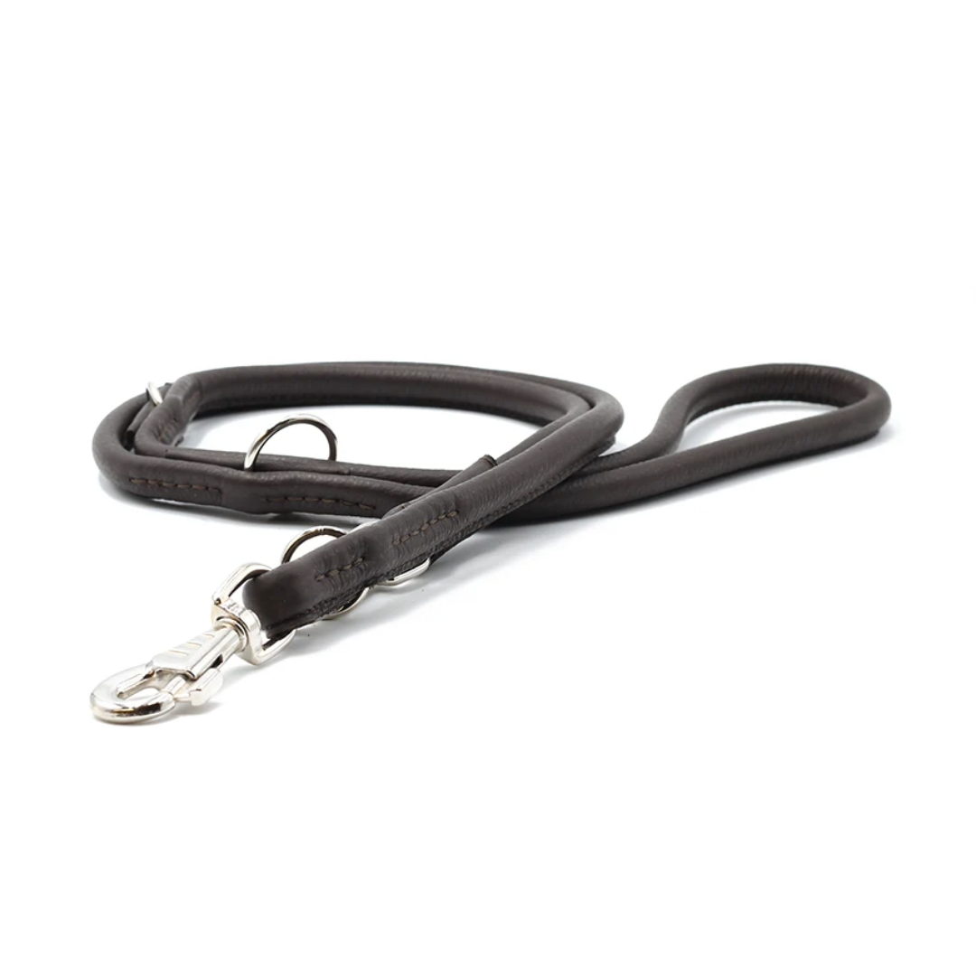 Weaver Leder Prism Classic Hundeleine - Schwarz, 2,5 Cm X 1,8 M, Mit Karabinerhaken