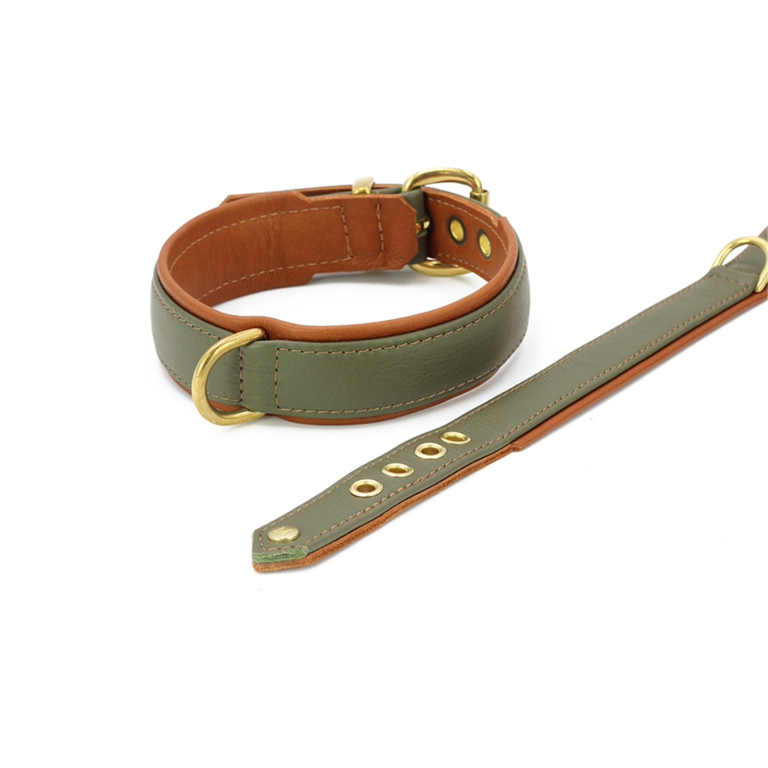 Halsband Klassik Exklusiv | khaki