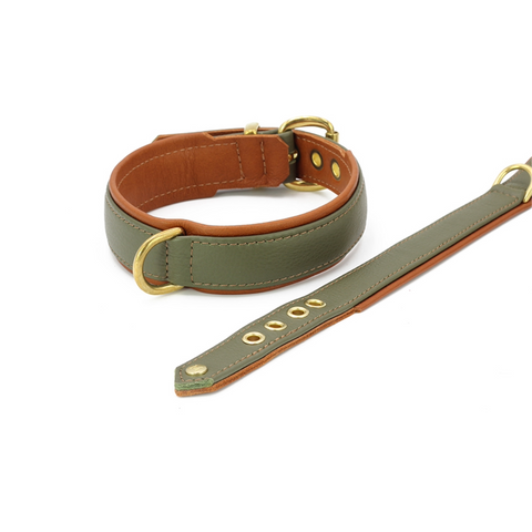 Halsband Klassik Exklusiv | khaki - cognac / gold