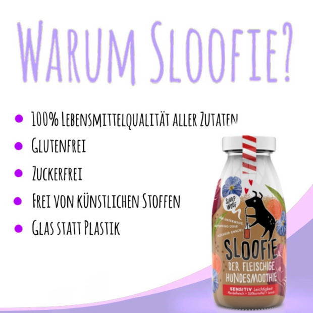 Hundesmoothie - Sensitiv 250ml
