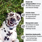 Zahnpflege-Kausticks - "LammTastisch InsZähniert"