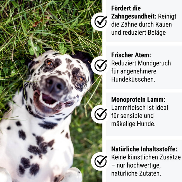 Zahnpflege-Kausticks - "LammTastisch InsZähniert"