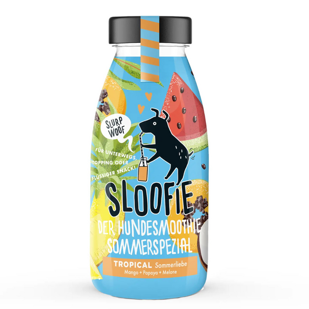 Hundesmoothie - Tropical 250ml