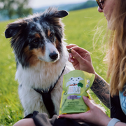 Veggies Skincare mit Kastanienmehl, Kelpage & Hanfsamen