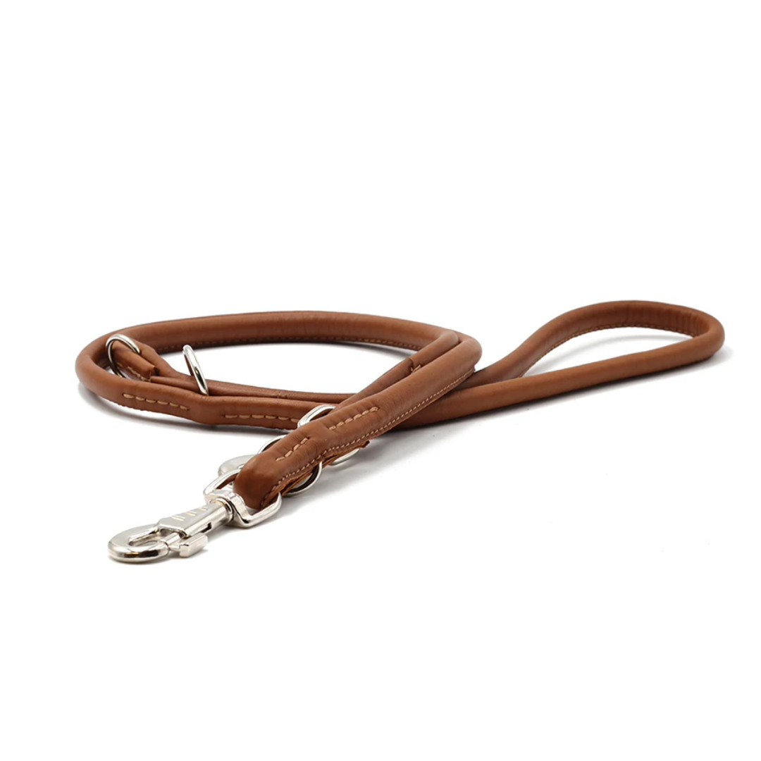 Weaver Leather Poly Cowboy Leine | 1,6 Cm X 2,4 M, Türkis/Braun | UV-beständig, Mit Druckknopf & Karabiner