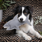 Hundespielzeug- Shazza der weisse Hai